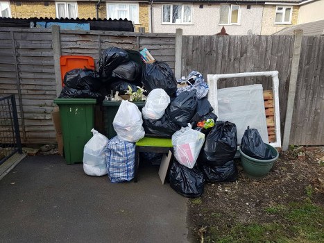 Professional team handling commercial waste